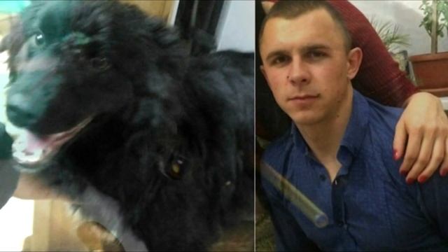 Пьяный мужчина решил наказать бездомную собаку. Посмотрите, что он сделал!