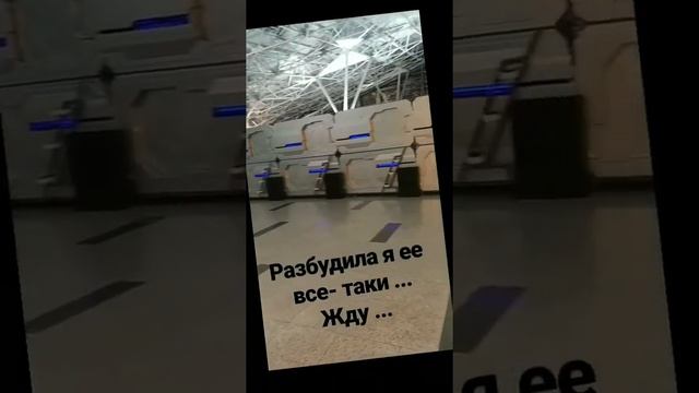 Интересное и очень популярное новшество во Внуковском аэропорту смотреть онлайн