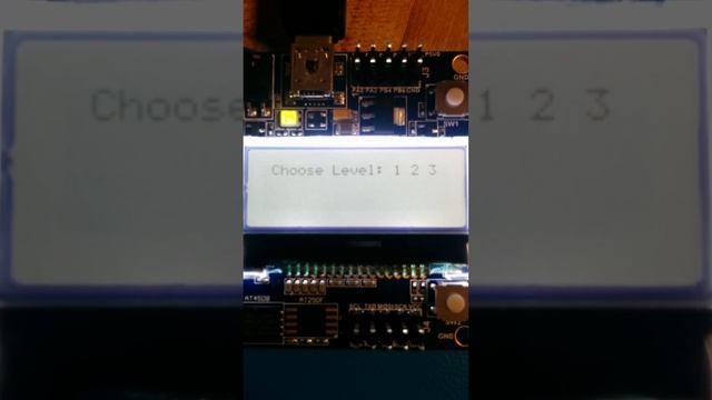 Xmega-a3bu LCD Catch The Bill Game смотреть онлайн