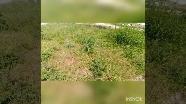 Спасибо ветеранам-победителям и работникам тыла за мирное небо над головой!!! смотреть онлайн