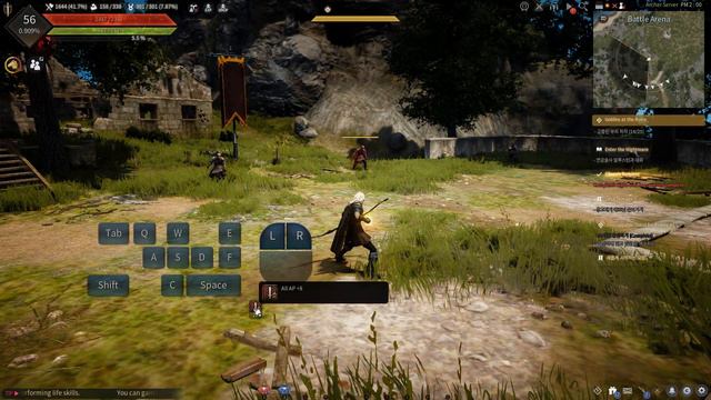 Black Desert Online /// Archer Skills and Combo Guide смотреть онлайн