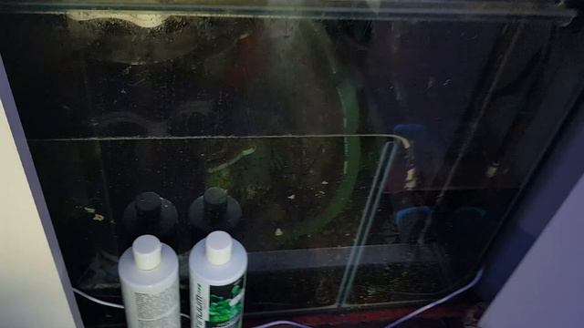Introducing my Reef tank смотреть онлайн