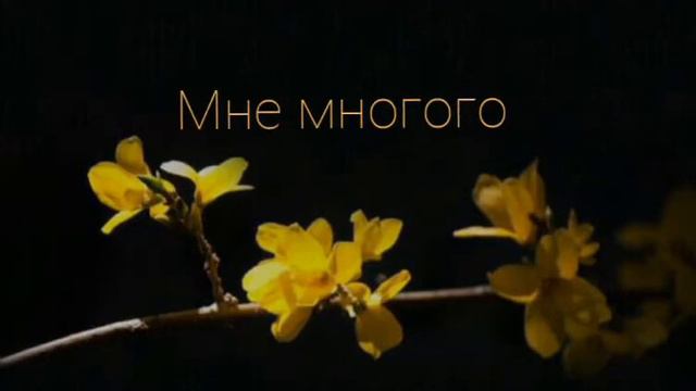 песня "ты сегодня просто бомба💣"популярное видео смотреть онлайн