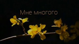 песня «ты сегодня просто бомба💣«популярное видео