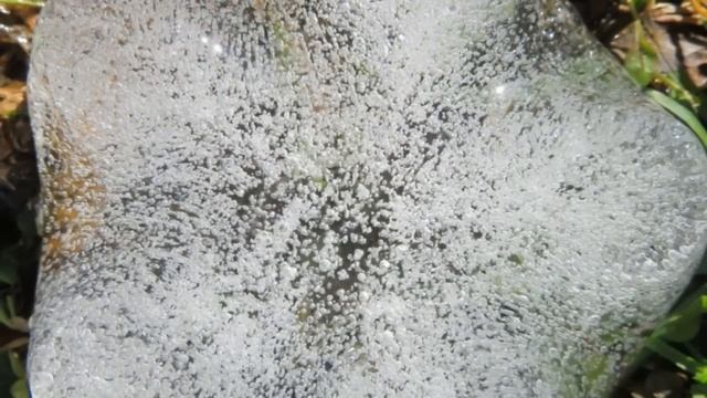 Валентина Миронова СВЕТ И АКУПУНКТУРА Новая статья (март 2023г.)на сайте Проза.ру