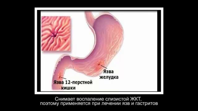 Антилипидный чай Тяньши