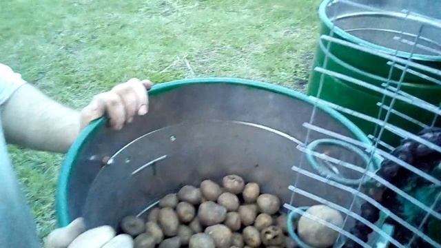 Посадка картофеля трактором Т-16 смотреть онлайн