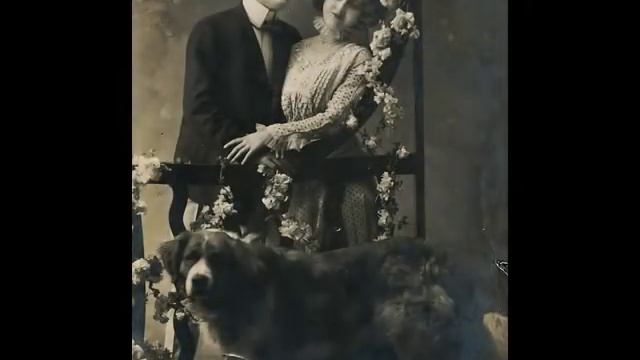 _Не взыщи, мои признанья грубы_ романс исп. Г. Хомчик смотреть онлайн