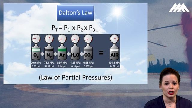 Solheim's CCT Exam Review Course (The Laws) смотреть онлайн
