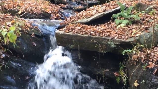 Kool&Klean Touch The Sky (Lavender Hill Penthouse Suite) смотреть онлайн