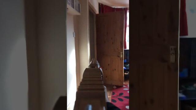 FIRST PERSON SHOOTER MLG смотреть онлайн