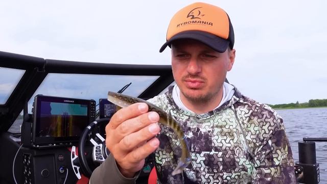 Как поймать пассивную рыбу?Универсальная уловистая приманка! ЭНЦИКЛОПЕДИЯ СПИННИНГА.FRAPP FUNKY SHA смотреть онлайн