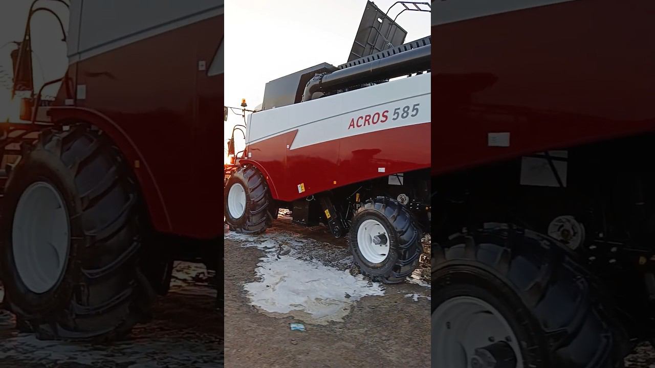 Мыть или не мыть? Как вы ставите на хранение? смотреть онлайн