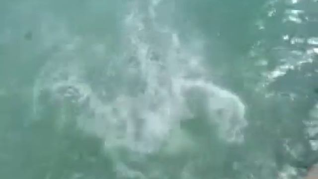 WATER & STREET 2011 смотреть онлайн