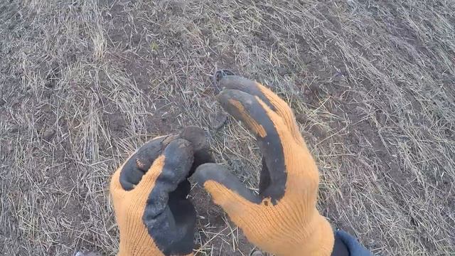 Нашел на старом урочище МЕЧТУ кладоискателя. ШОК от найденного. редкая монета смотреть онлайн