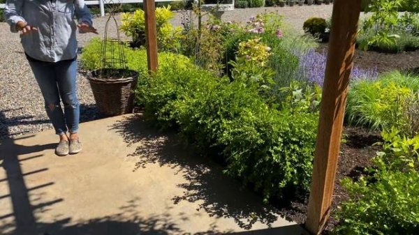 End of May Garden Tour! ??// Garden Answer