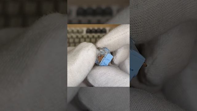 QMK, Кириллица, Подсветка, Экран и Энкодер! Клавиатура Attack Shark K86 #asmr #keyboard смотреть онлайн