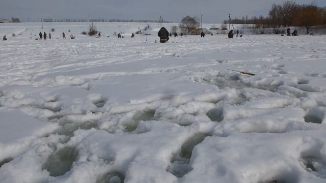 Рыбалка Зима 2017 пруд в Варваровке 19.02.17 Белгородская обл. смотреть онлайн