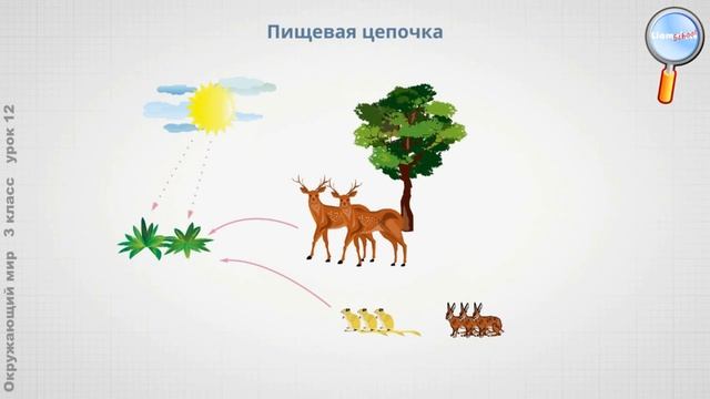 Окружающий мир 3 класс (Урок№12 - Великий круговорот жизни.) смотреть онлайн