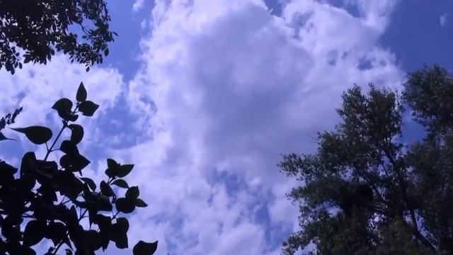 Погода в Архипо-Осиповке 30.07.18 смотреть онлайн