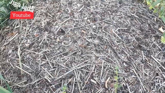 Jıga lada:6 "Бенза насос қызуы жайында и электро бенза насос" смотреть онлайн