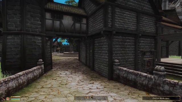 A FAMILY MATTER | Let's Play TES IV: Oblivion | 2020 GRAPHICS | 200+ Mods |#21 смотреть онлайн