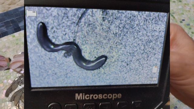 Как не потерять цепочку смотреть онлайн