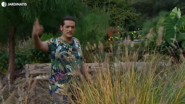 PENNISETUM alopecuroides e HYDRANGEA arborescens- Dos plantas clave para Iñigo Segurola - Jardinati смотреть онлайн