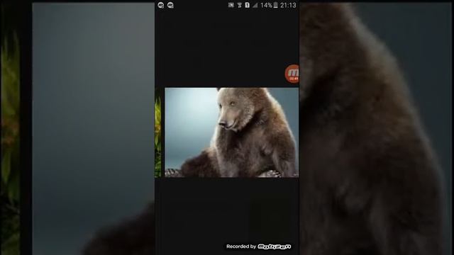 Няшные картинки . смотреть онлайн