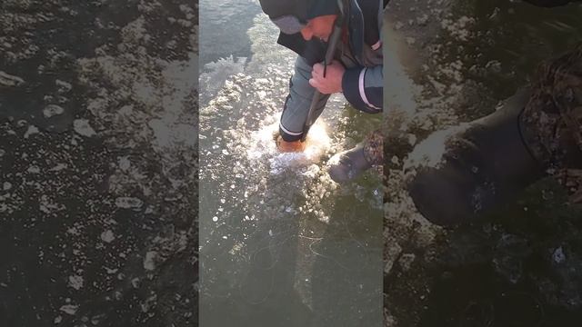 Курган рыбалка Тобол налим 3500 смотреть онлайн