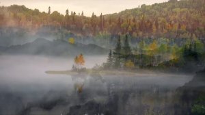 Почему закят в Коране называется садака?