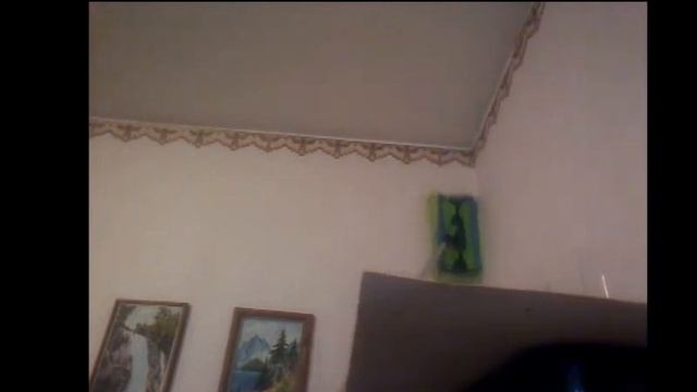 УНИВЕРСАЛЬНАЯ ШВАБРА С ДВУМЯ НАСАДКАМИ AQUAMATIC MOP от компании GREENWAY смотреть онлайн