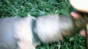 Самодельный триммер