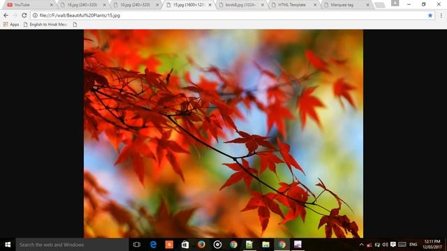 Scrolling images and text in HTML [ Marquee tag in HTML ] смотреть онлайн