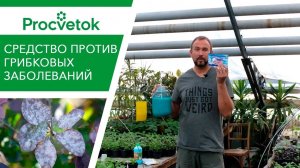 Медьсодержащие фунгициды - медный купорос, бордосская смесь, азофос. Обработка от мучнистой росы.