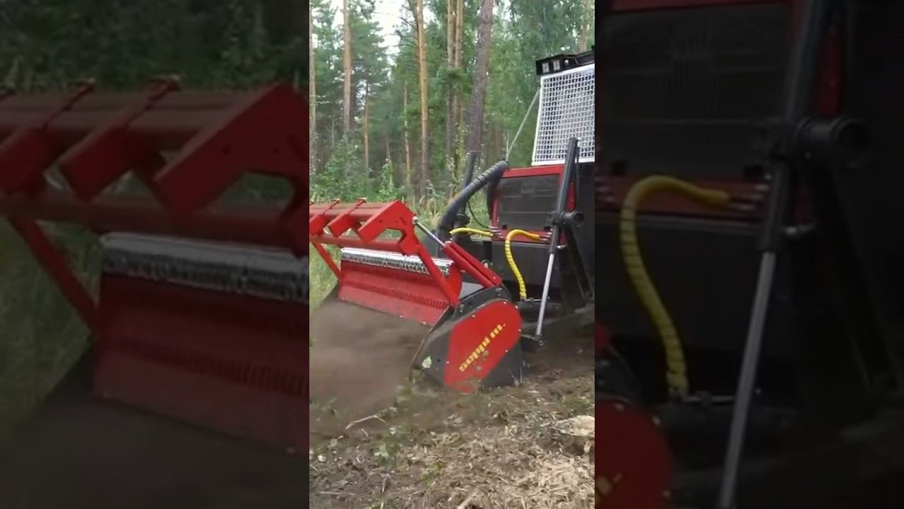 Потрошитель стволов на гусеницах #лэп #россети #расчисткалэп #shorts смотреть онлайн