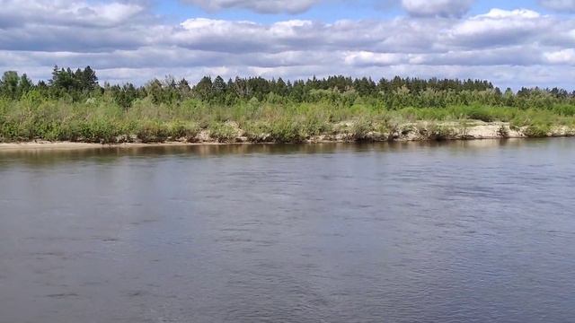 река Сура в деревне Ростислаевка. 2023г. смотреть онлайн