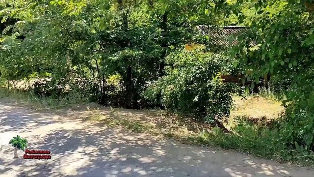 Лучший пляж Волгограда. #пляжи #волгоград #лето2023 The Best Beach In Volgograd