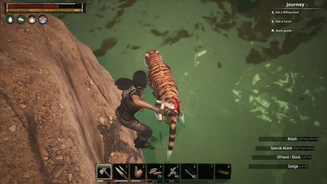 Do NOT hunt a Tiger смотреть онлайн