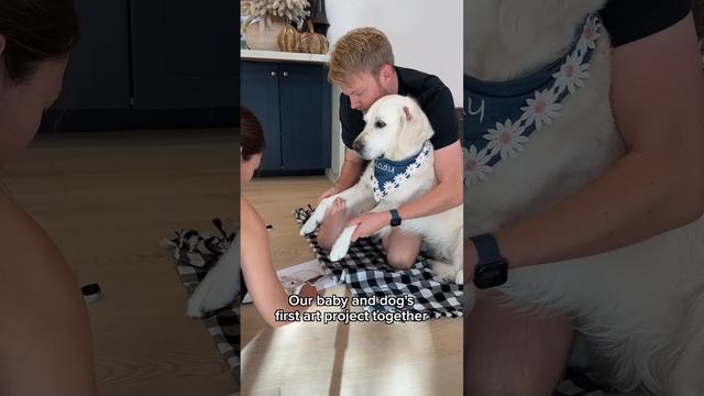 Our Baby and Dog's first Art Project Together! смотреть онлайн