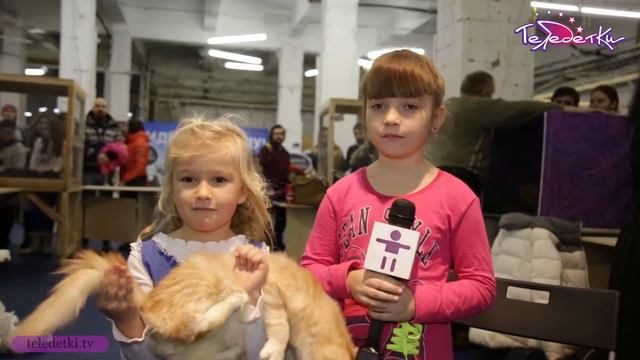 ТЕЛЕЛЯПЫ 2016 смотреть онлайн
