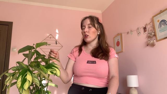 Ктенанта Лубберса Обзор Новинки Растений смотреть онлайн