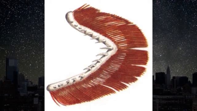 10 РЕАЛЬНЫХ МОНСТРОВ НАШЕЙ ПЛАНЕТЫ Прокачай мозги смотреть онлайн