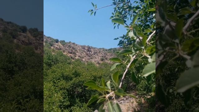Forish tumani nurota tizma toglari Garasha qishlog‘i смотреть онлайн