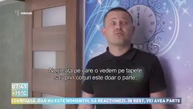 Избавление от сырости, плесени, грибка