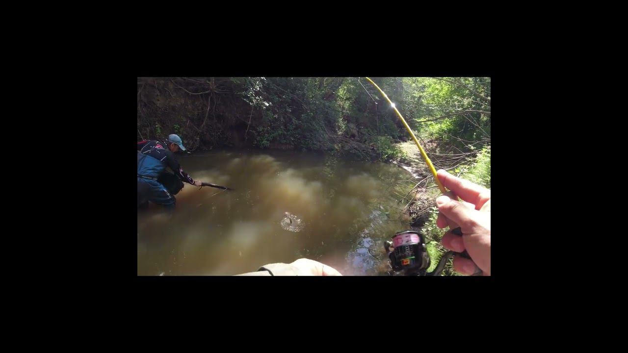 #мормышинг | Микроречка | Окунь ни чего не боится :-) | смотреть онлайн