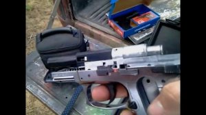 Daisy Powerline 5501 field strip and cleaning with mods