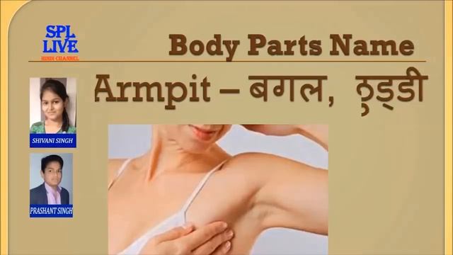 Body Parts Name with Picture and Hindi Meaning !! ENGLISH VOCABULARY !! смотреть онлайн