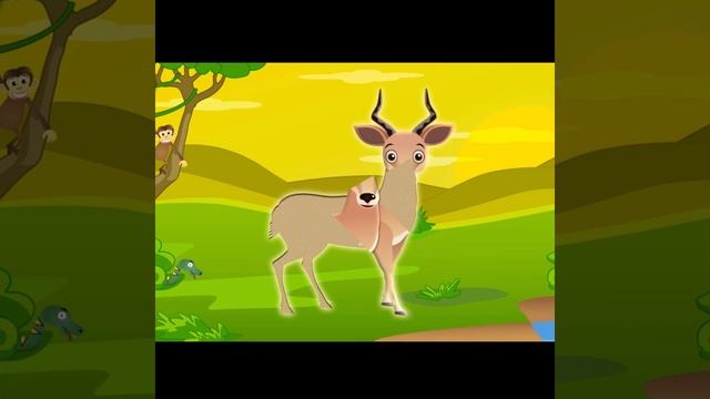 Пазл Забавные животные. Антилопа. смотреть онлайн