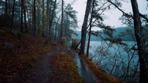 Прогулка по лесу депрессия